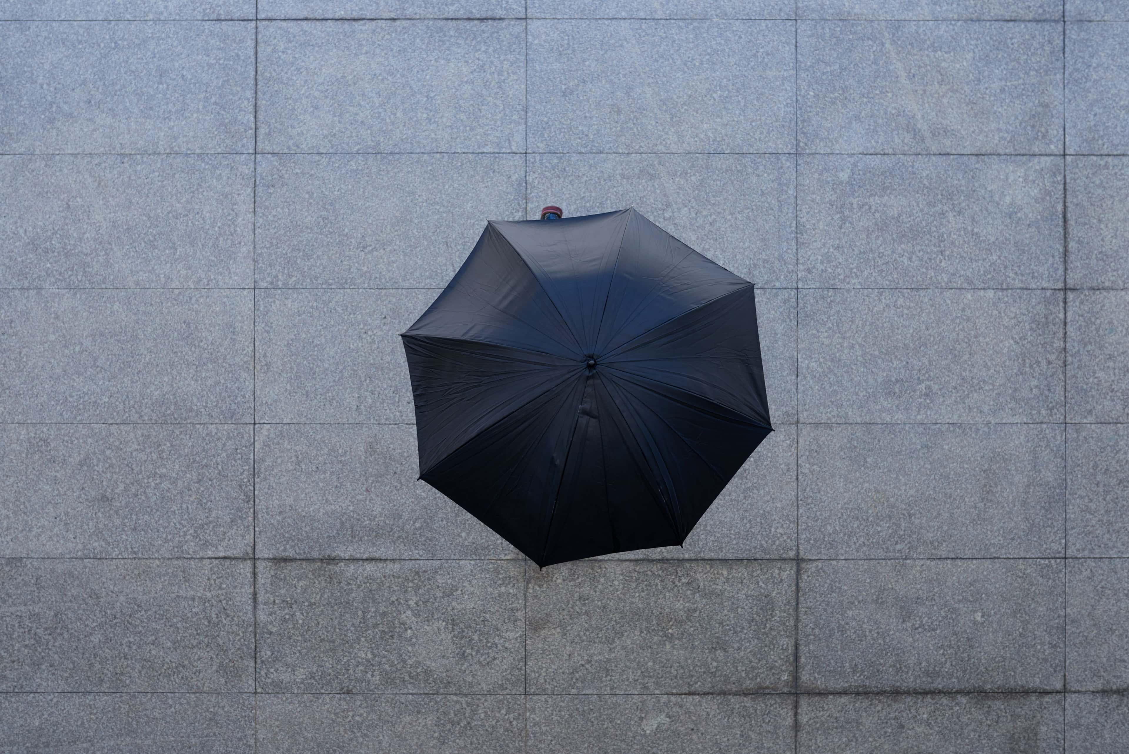 Digital Brand Protection image